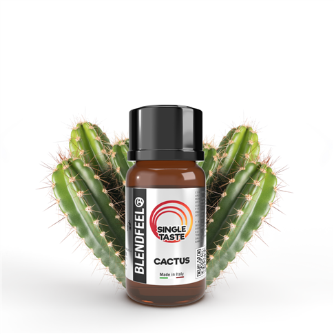 Cactus export