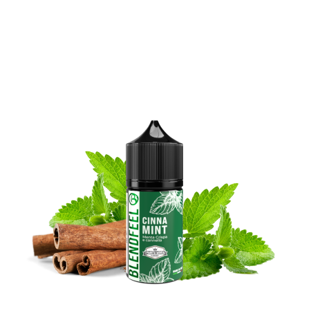 Cinna Mint 10+20 Koncentrovaná vůně Blendfeel