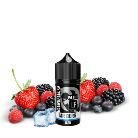 Blendfeel │ Mr Berg - Longfill 10+20mL