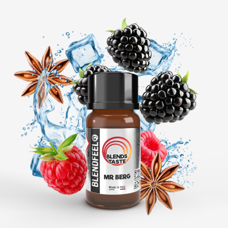 Blendfeel | Mr Berg 10 ml