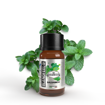 Blendfeel │ Balsamica