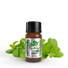 Blendfeel │ Rustica export