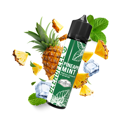 Pineapple Mint Pianeta Menta Flavoured 20+40