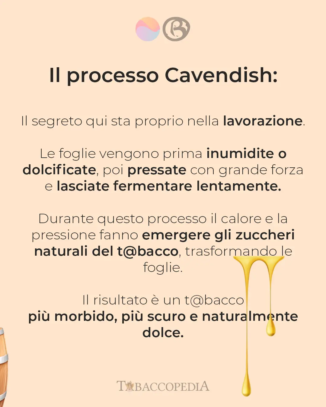 CAVENDISH 4